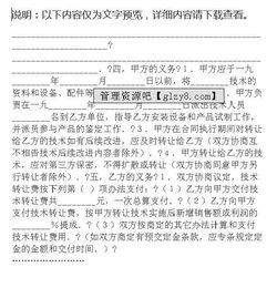 技術轉讓合同（示例文本）