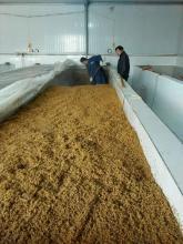 醬油釀造技術轉讓 傳統工藝與現代商業的融合之道